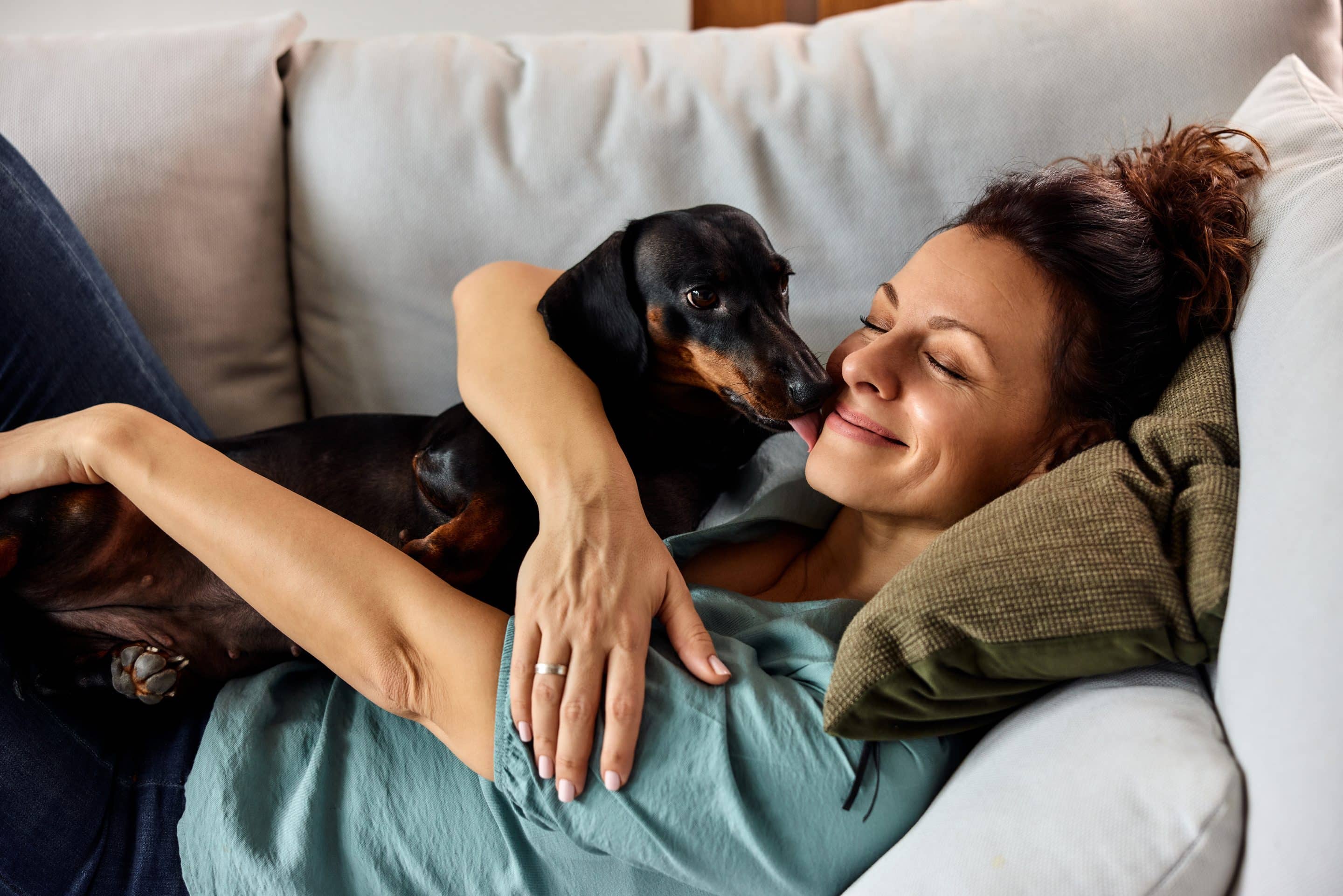 woman on couch with dog - Honnas Veterinary
