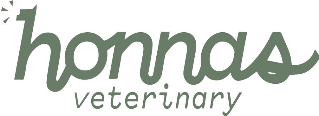 How to Treat A Dog Ear Infection At Home | Honnas Veterinary - Tylenol For Dog Ear Pain Symptoms