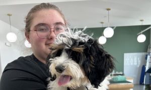 Dog ready for summer