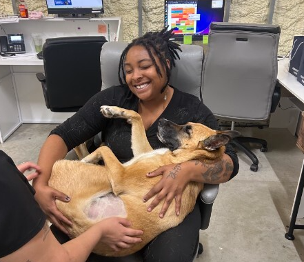 Maple the Dog ready for exercise