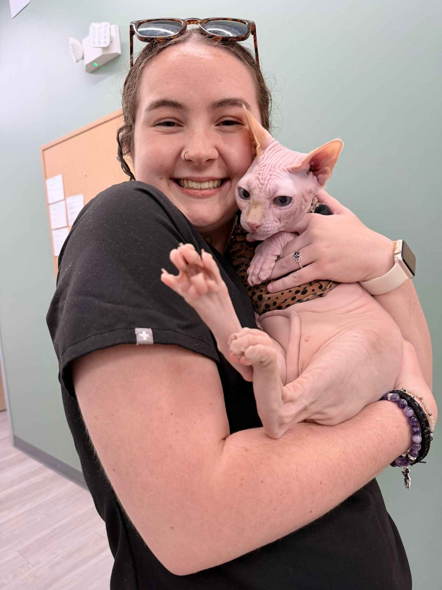 A smiling veterinary assistant at an Austin animal clinic holding a hairless Sphynx cat wearing a leopard print shirt, highlighting specialized pet wellness and skin care.