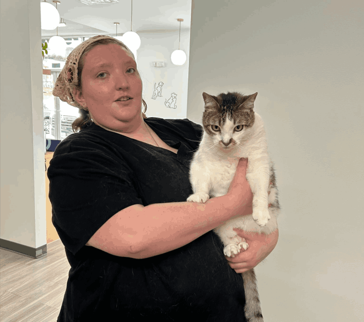 A Honnas Veterinary clinic staff member in black scrubs holding a large white and brown tabby cat during a pet wellness checkup for seasonal allergy management.