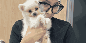 A clinic worker holding a small, fluffy white Pomeranian puppy close during a wellness visit, emphasizing gentle care for young pets susceptible to early ear issues.