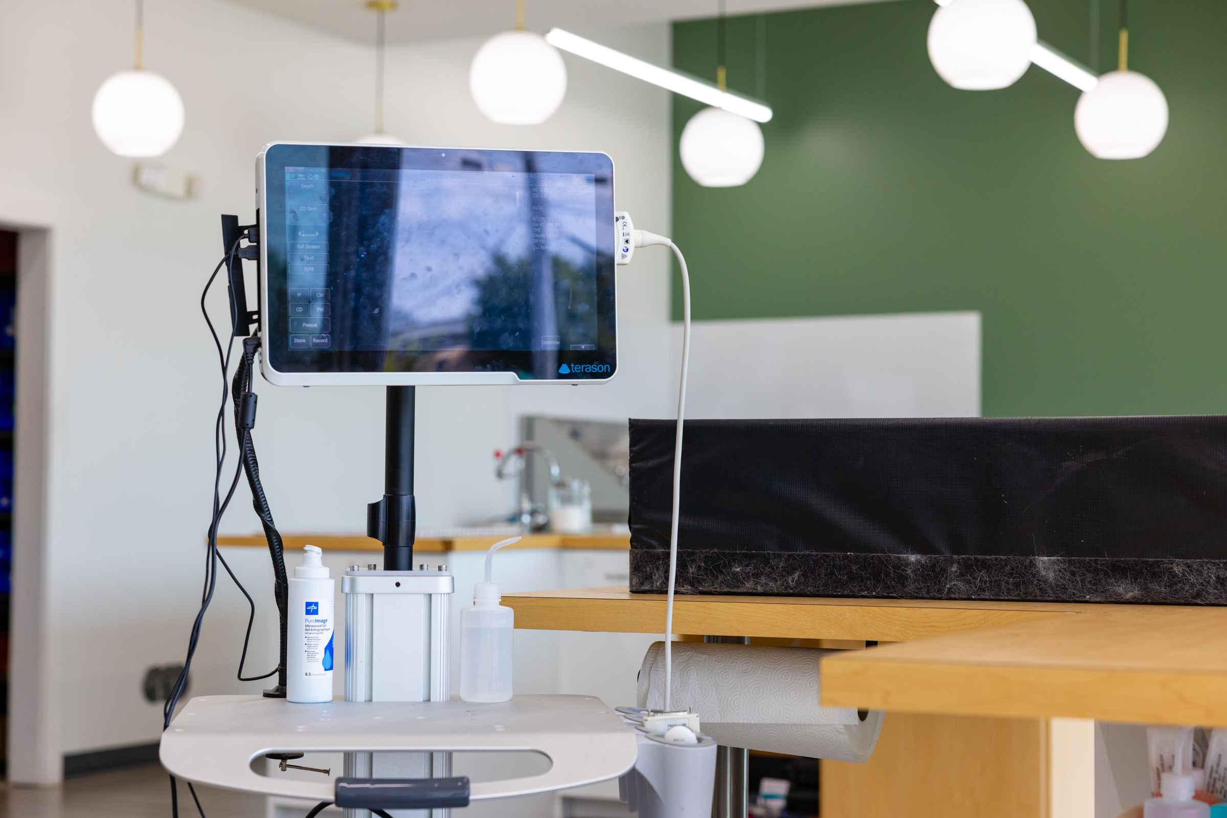 Diagnostic ultrasound and echocardiogram equipment used for veterinary imaging at Honnas Veterinary.
