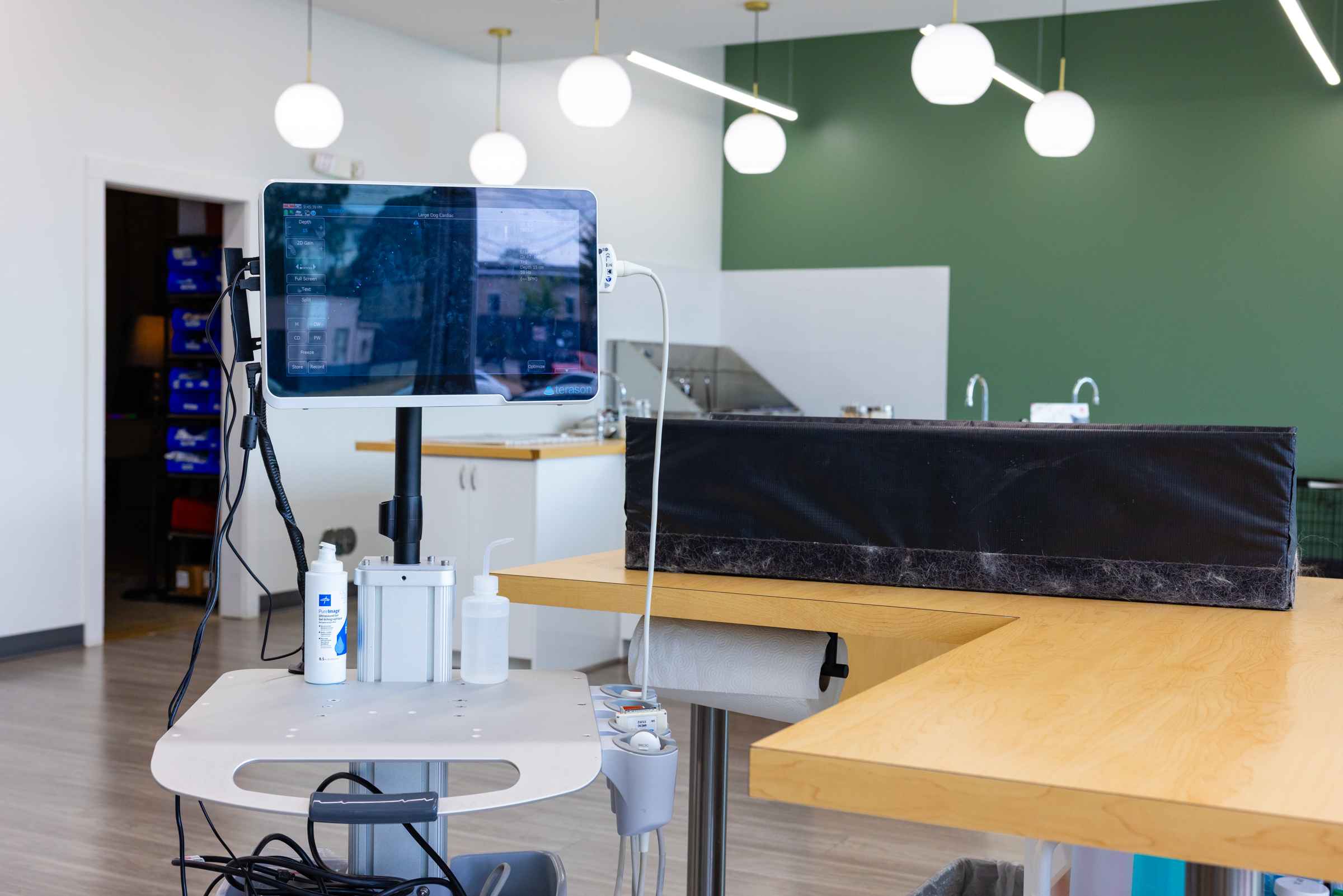Veterinary echocardiogram and ultrasound equipment at Honnas Veterinary in Austin, TX.
