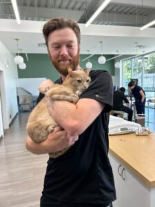 Veterinary professional holding an orange tabby cat inside Honnas Veterinary's animal hospital in Austin, TX.