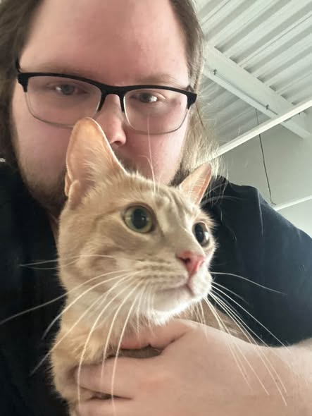 Close-up of an orange tabby cat being held by its owner during a veterinary visit.